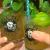 products_the-black-lagoon-room_klockau_pete_2.jpg