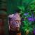 products_the-art-of-b-rex_rechenmacher_brian_0.jpg
